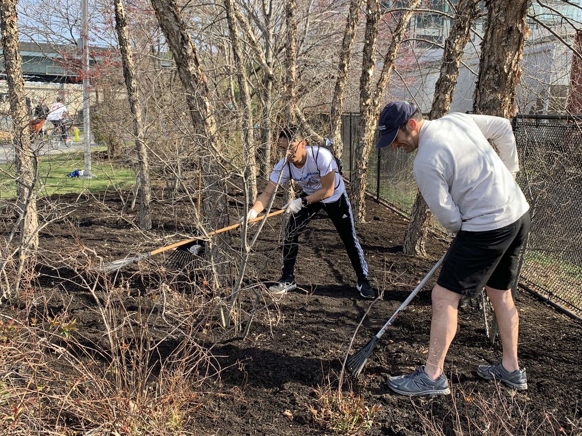 Executive Director Dennis Markatos-Soriano rakes new mulch during the Schuylkill Banks Philly Spring Cleanup on Saturday morning.